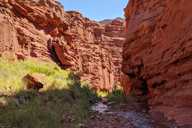 Moab Small-Group Half-Day Castle Valley Sumer Hike - Tour Highlights