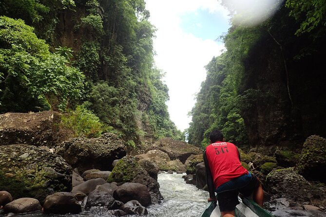 Moalboal Snorkeling and Kawasan Falls Canyoning Private Tour  - Manila - Tour Itinerary Highlights