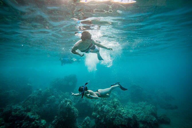 Molokini Snorkel Plus Whale Watching Adventure Tour - From Kihei - Tour Highlights
