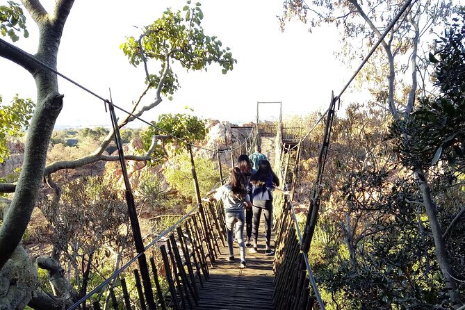 Monkey and Lemur Interaction Wooden Bridge Forest Walk - Inclusions