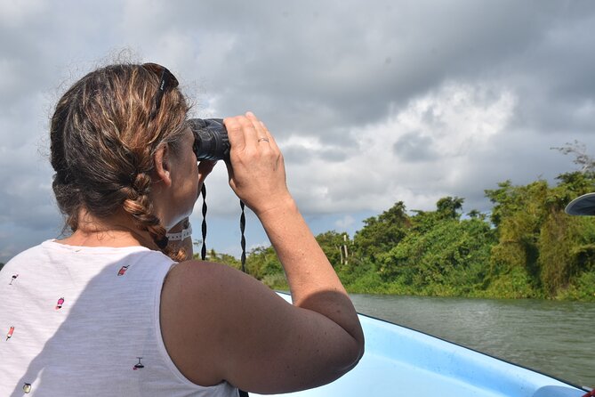 Monkey River Wildlife Encounters and Manatee Watch - Tour Overview