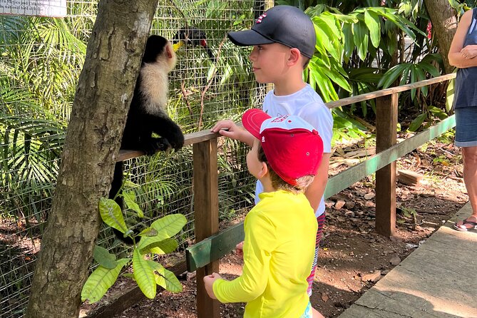 Monkey/Sloth Park and City Tour in Roatan - Tour Overview