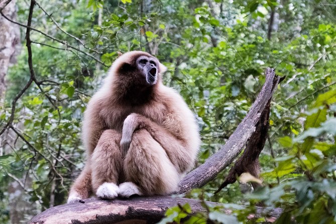 Monkeyland Guided Tour in Plettenberg Bay - Pricing and Guarantee