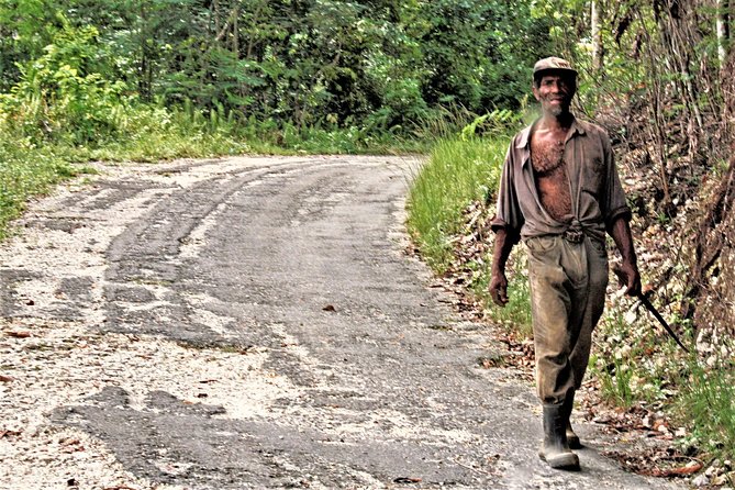 Montego Bay Highlights Heritage Tour From Montego Bay Hotels - Tour Duration and Itinerary