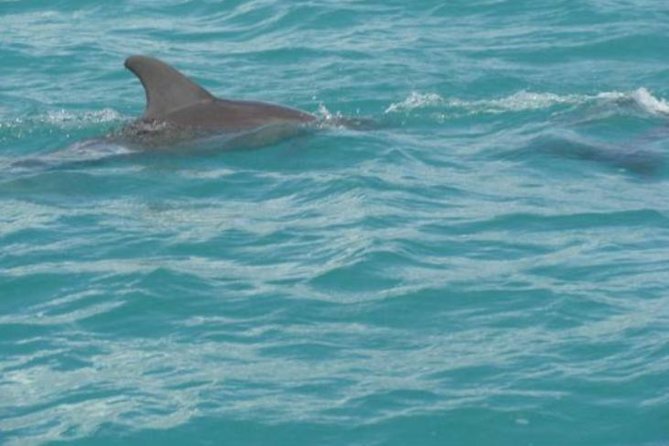 Montego Bay Private South Coast Adventure Full-Day Trip - Pricing and Booking