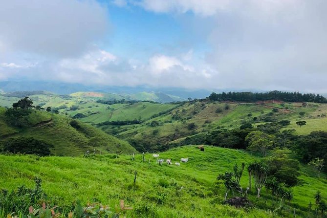 Monteverde Cloud Forest Horseback Riding - Tour Overview