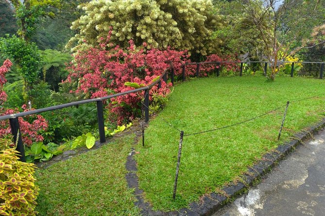 Montreal Gardens Tour in St. Vincent  - Kingstown - Overview of Montreal Gardens