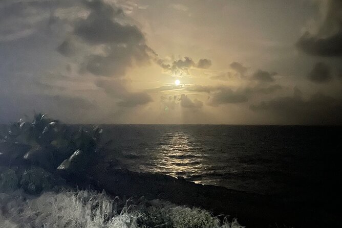 Moonlight HARP Gun Hike in Barbados - Traveler Requirements and Accessibility