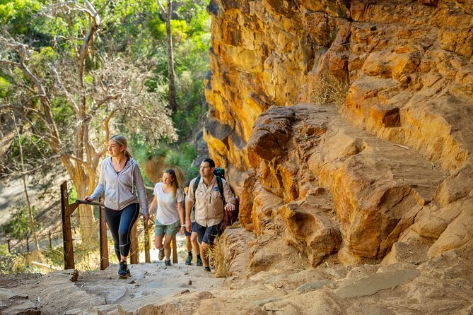 Morialta Wilderness and Wildlife Hike - Morialta Conservation Park Overview