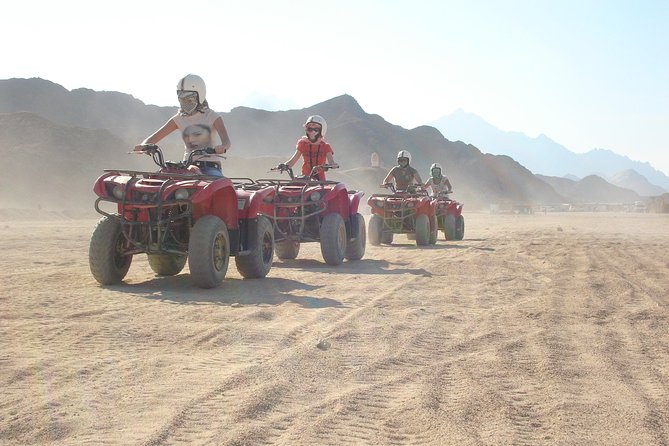 Morning Desert Safari Trip by Quad Bike From Marsa Alam - Experience Highlights