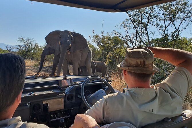 Morning Game Drive Safari Near Hoedspruit - Overview and Location
