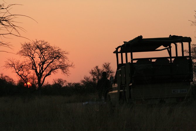 Morning Kruger National Park Safari - Tour Highlights
