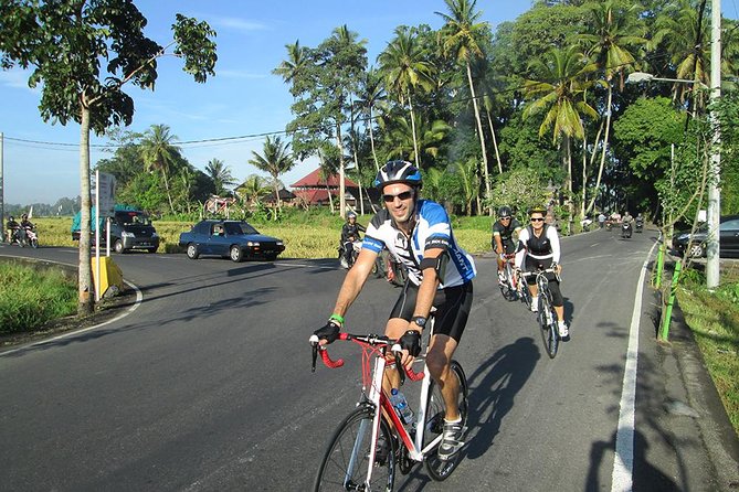 Morning Road Bike Tour in Bali Village - Pricing and Value