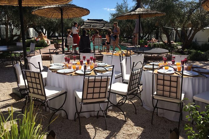Moroccan Wine Tasting From Marrakech at Atlas Mountains & Desert and Camel Ride - Itinerary Overview