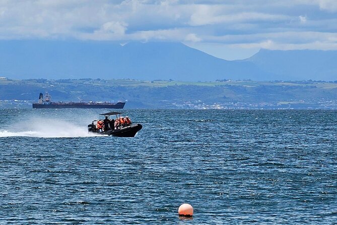 Mossel Bay Jet Boat Experience - Experience Overview