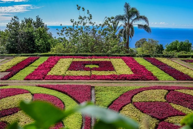Mount And Botanical Garden - Stunning Views and Scenic Trails