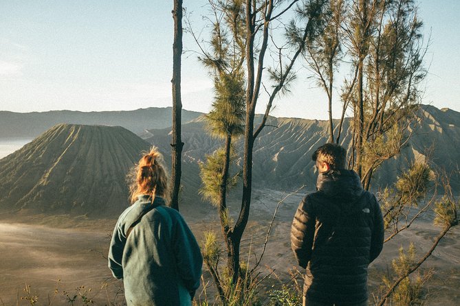 Mount Bromo Sunrise Tour From Surabaya & Malang - Depart Midnight - Tour Pricing and Booking Details