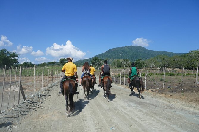 Mountain Horse Back Riding - Pricing Information