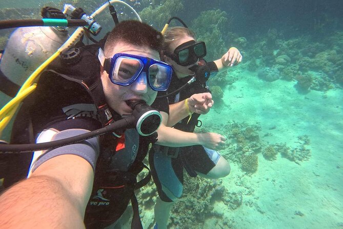 Moving Underwater 2 Professional Diving With Lunch - Customer Reviews