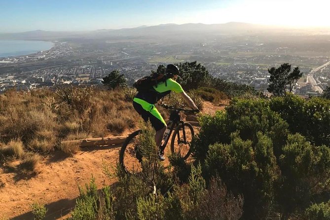 MTB Table Mountain - Constantia Morning Tour - Tour Highlights