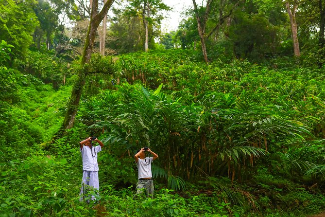 Munnar Full-Day Small-Group Tour (Feb ) - Tour Overview