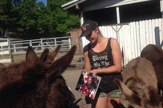 Mustang Horse Rescue Volunteer Experience! Full Day - Experience Confirmation and Accessibility