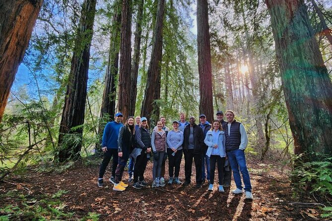 Napa Valley Redwood Hike - Trail Overview