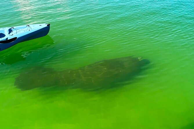 Naples Guided Sunset Kayak Tour Activity - Activity Details