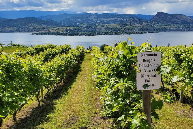 Naramata Private Wine Tour - Half Day - Tour Highlights
