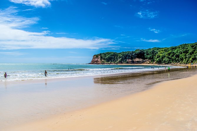 Natal to Pipa Beach Full-Day Tour With Transport and Guide - Overview of Pipa Beach