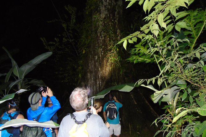 Nativos Corcovado Night Hike in DrakeBay - Experience Details