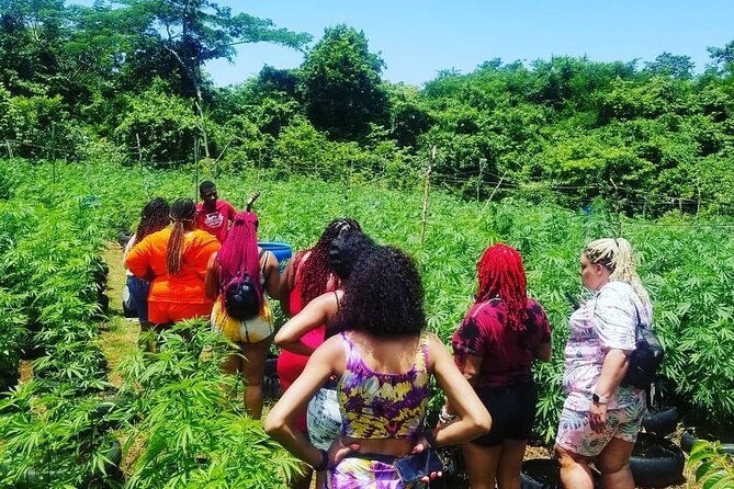 Negril Guided Day Tour:7 Mile Beach and Sunset at Ricks Cafe - Tour Overview