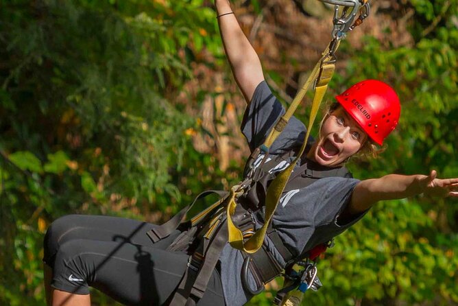 New River Gorge, WV - Zip Line Tour - Tour Overview