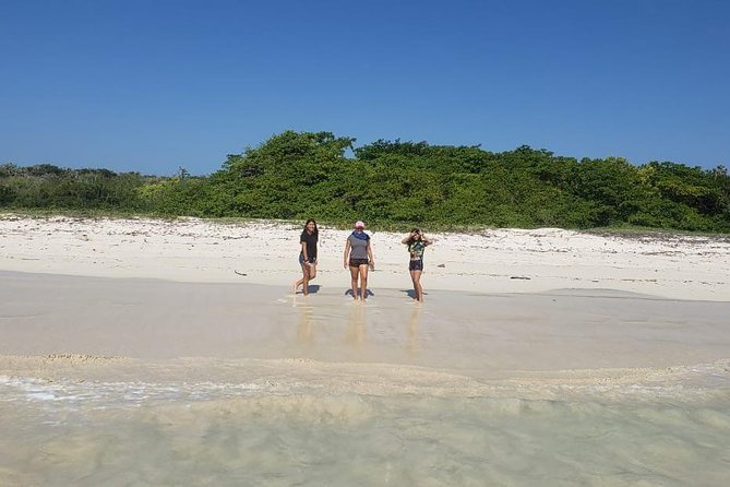 Newspaper Headline: Uncover Galapagos Wonders on Private Tour - Pricing and Booking Details