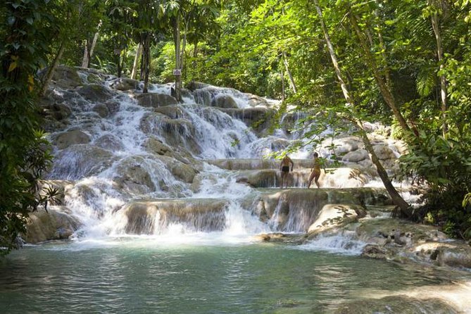 Nine Miles and Dunns River Falls Tour From Negril Hotels - Tour Highlights