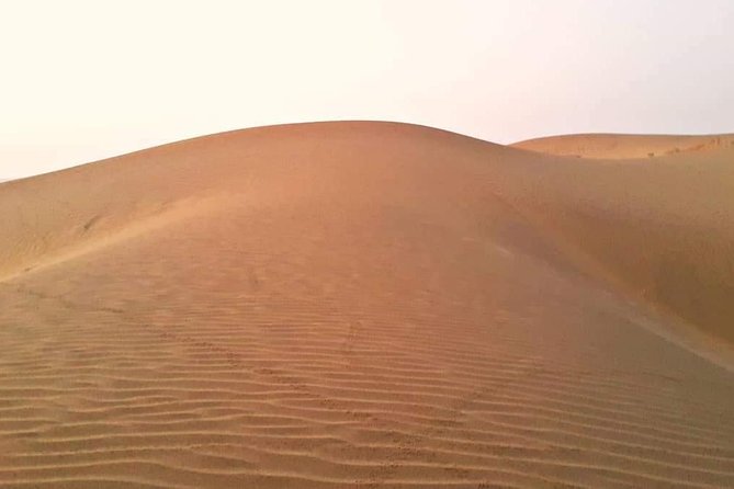 Non-Touristic Overnight Desert Safari and Camping - Desert Safari and Camping Highlights