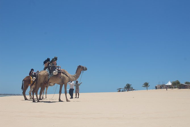  North Coast Buggy With Fees - Genipabu- Natal Outing - Activity Overview