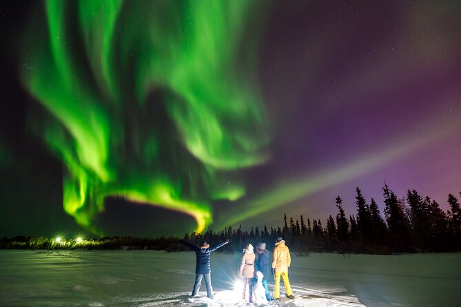 Northern Lights by Minivan in Levi - Tour Details