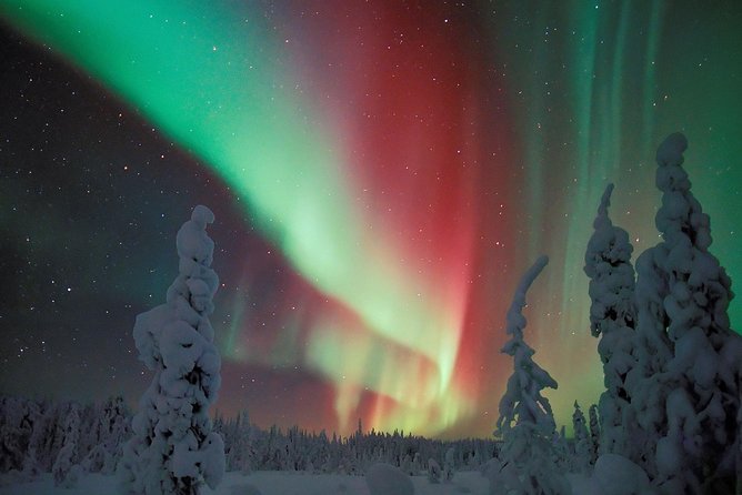 Northern Lights Hunt Including Snacks on Campfire From Levi - Tour Details
