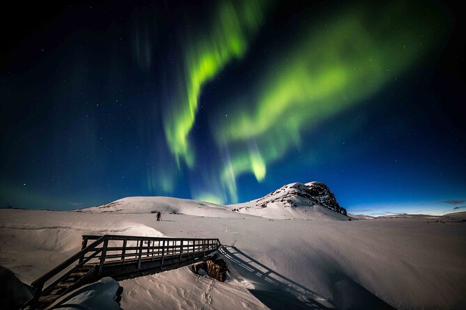Northern Lights Hunting Photography Tour in Levi - Tour Highlights