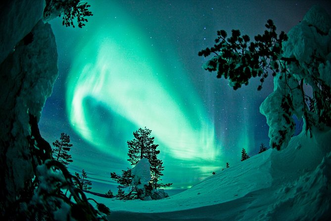 Northern Lights Snowmobile Driving Safari in Kemi - Overview and Experience