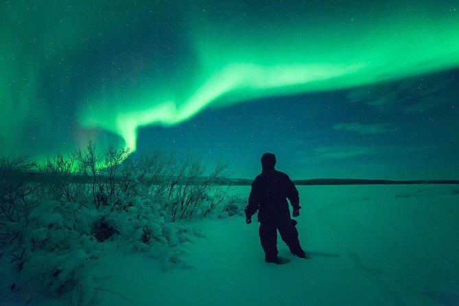 Northern Lights Snowmobile Safari From Rovaniemi With Campfire Picnic - Pricing and Value