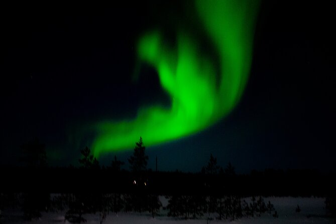 Northern Lights Tour With Skis Or Snowshoes in Pyhä - Tour Confirmation and Accessibility