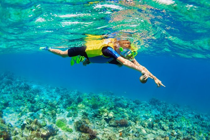 Nusa Lembongan Island: Snorkeling & Mangrove Forest Day Tour - Pricing and Booking Details