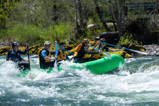 Oakridge Whitewater Rafting Adventure: Upper Middle Fork Willamette - Trip Overview