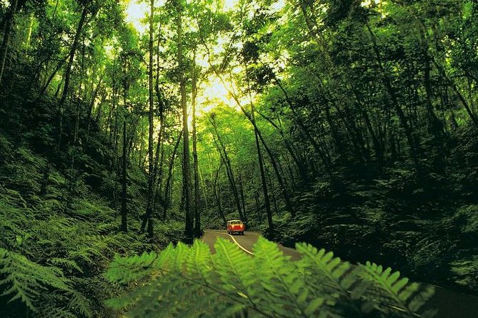 Ocho Rios Highlight & Blue Hole - Full Day Tour - Good To Know