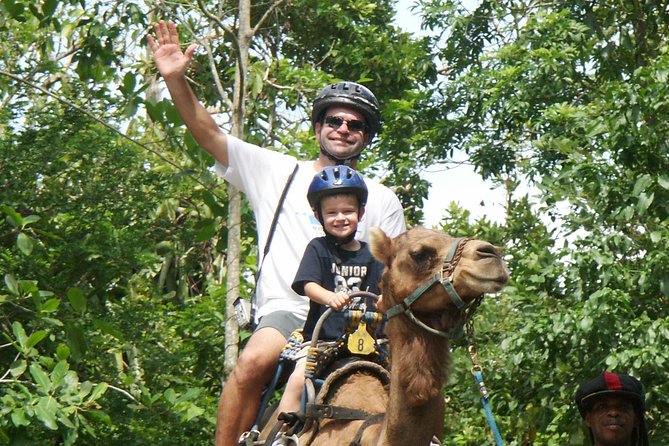 Ochos Rios Camel Trek Including Hotel Transfers (Feb ) - Activity Details