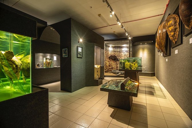 Official Ticket: Oceanographic Museum Univali - Piçarras - SC - Ticket Details