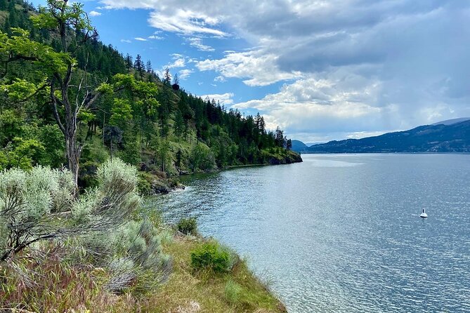 Okanagan Lake Views Guided E-Bike Tour With Picnic - E-Bike Rental and Safety Gear