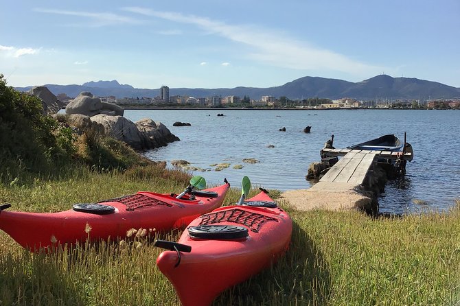 Olbia Kayak Experience and Lighthouse Tour (Feb ) - Tour Highlights